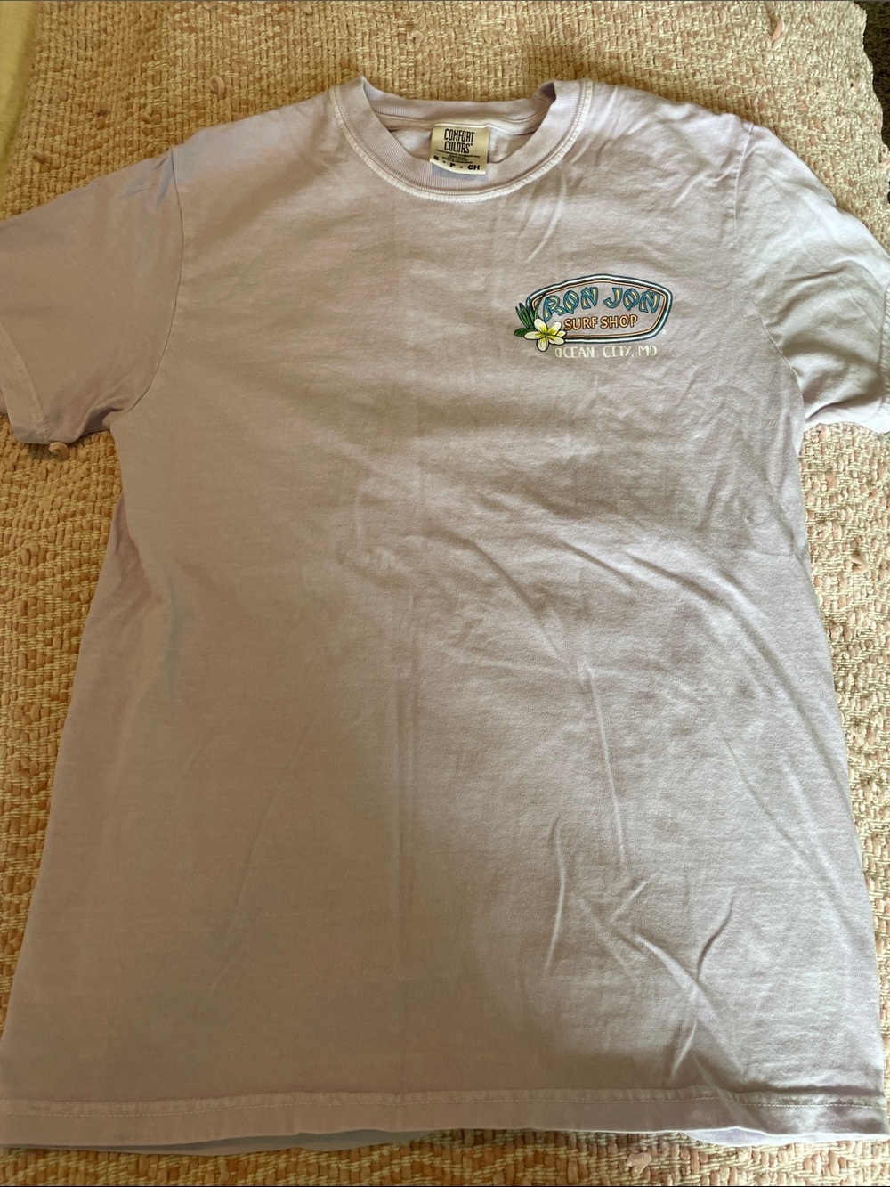 Ron Jon Surf Shop Graphic Tee in Light Lavender